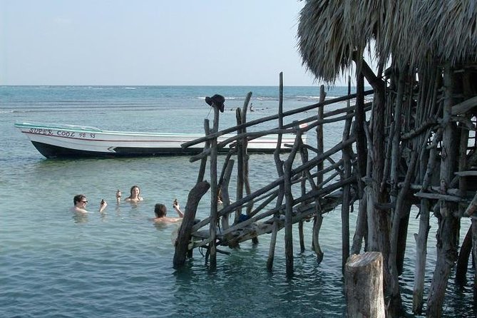 Private Appleton Estate Rum and Pelican Bar Tour from Montego Bay - Why the Private Guide Matters (And How to Get the Most From It)