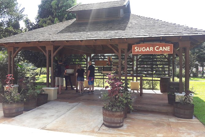 Private Appleton Estate Rum and Pelican Bar Tour from Montego Bay - Inside the Joy Spence Appleton Estate Rum Experience