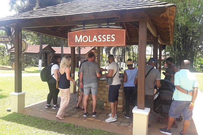 Private Appleton YS Falls and Black River Tour from Montego Bay - What You Really Get for $270 and Who It Suits