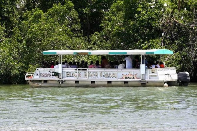 Private Appleton YS Falls and Black River Tour from Montego Bay - YS Falls: Rope Swings, Terraces, and a Workout You Earn