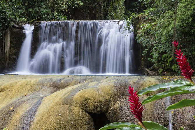 Private Appleton YS Falls and Black River Tour from Montego Bay - Black River Safari: Crocodiles, Birds, and a Scenic Boat Hour