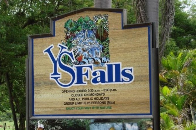 Private Appleton YS Falls and Black River Tour from Montego Bay - Price and Value: Why This Private Day Can Be Worth It