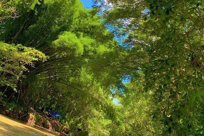 Private Bamboo River Rafting & Foot Massage from Montego Bay - Small planning tips that make this day smoother