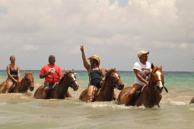 Private Beach Horseback Riding from Ocho Rios - The Best Part for Most People: Swimming With Your Horse
