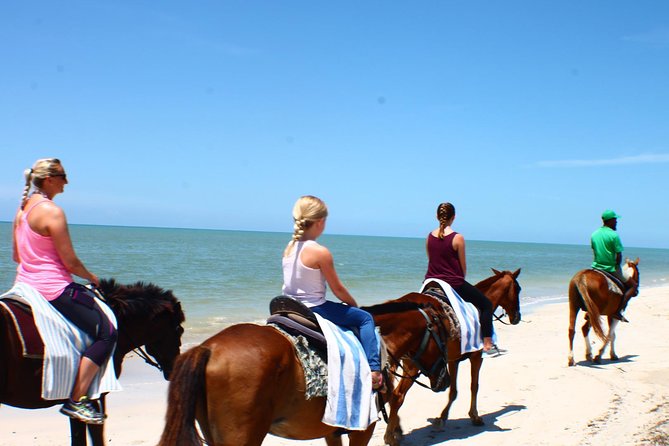 Private Beach Horseback Riding from Ocho Rios - The Hooves Riding Portion: How It Feels and What You’ll Do