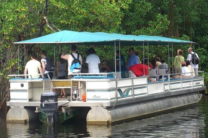 Private Black River Safari Tour from Montego Bay - Key highlights you’ll actually feel during the day