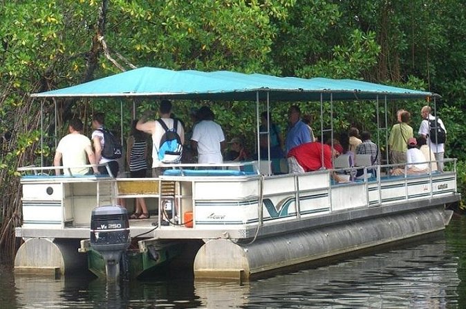 Private Black River Safari Tour from Montego Bay - Time, pace, and how to handle lunch (because it’s not included)