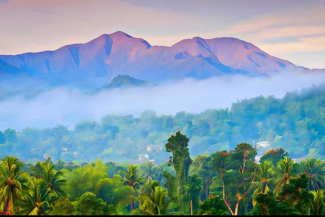 Private Blue Mountain tour from Ocho Rios - Quick hits before you go