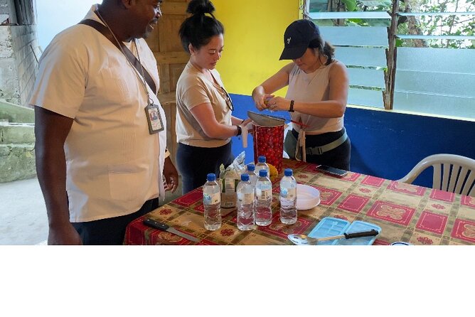 Private Blue Mountain tour from Ocho Rios - The coffee farm visit: what you’ll actually do