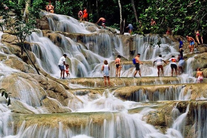 Private Bob Marley 9 mile & DunnsRiverFalls Tour from Montego Bay - Who this tour suits best (and who might want a different plan)