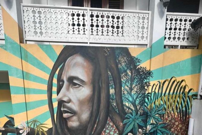 Private BOB Marley's 9miles Tour & Dunn’s River Falls Experience - Montego Bay Pickup and A/C Private Transport That Keeps You Moving
