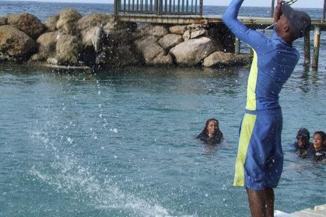 Private Dolphin Cove Adventure - Tips to get the most from your Dolphin Cove day