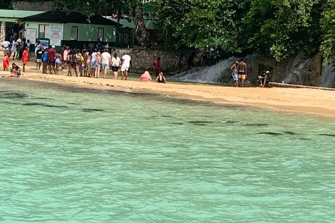 Private Dunn's River and Bamboo Rafting Combo from Ocho Rios - Price and Value for a $160 Private Combo