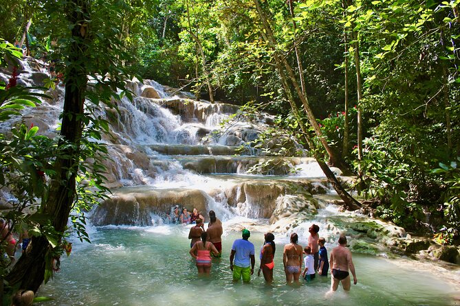Private Dunn's River Falls Adventure from Montego Bay - Key highlights worth knowing before you go
