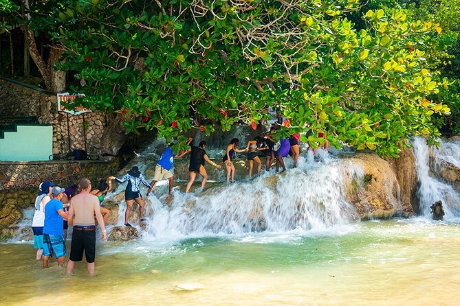 Private Dunn's River Falls Adventure from Montego Bay - What the price includes, and why it can be good value