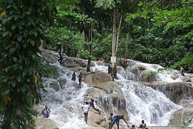 Private Dunn's River Falls and Tubing Tour From Ocho Rios - Price and value: what your $150 is actually buying