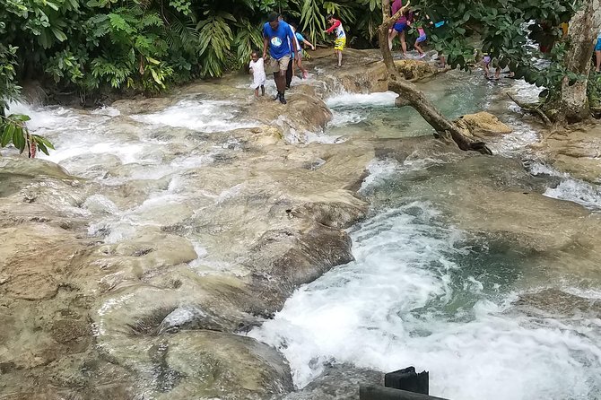 Private Dunn's River Falls from Ocho Rios - Price and value: is $80 worth it?