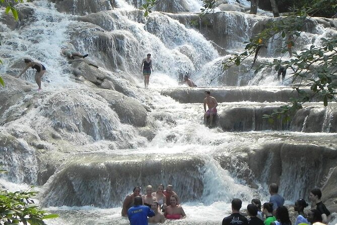 Private Dunn's River Falls Jamaica - Ziplining over the rainforest canopy: adrenaline with a view