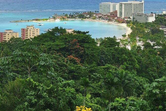 Private Dunn's River Falls, Ocho Rios Sightseeing and shopping - Price and Value: $35 plus Dunn’s River Park Admission