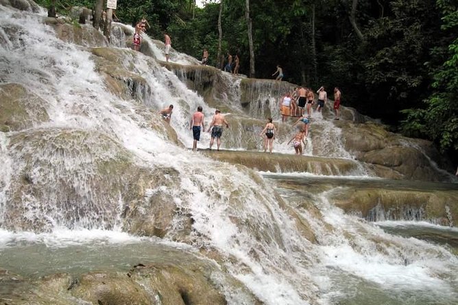 [PRIVATE] Dunn's River Falls with Entrance Fees - Montego Bay to Ocho Rios: More Than Just a Ride
