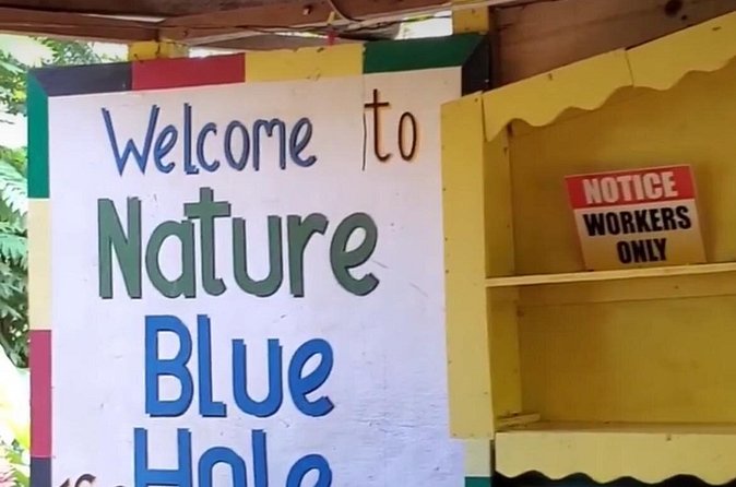 Private Dunns River Falls and Blue Hole from Montego Bay Tour - What’s Actually Included, and What You’ll Want To Budget For