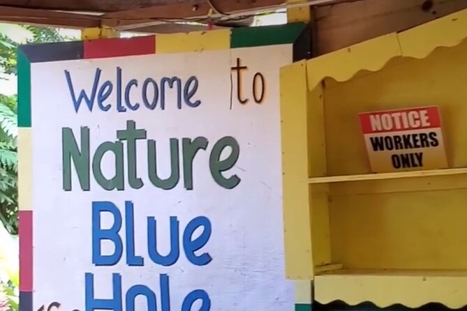 Private Dunns River Falls and Blue Hole from Montego Bay Tour - Should You Book This Dunn’s River Falls and Blue Hole Tour?