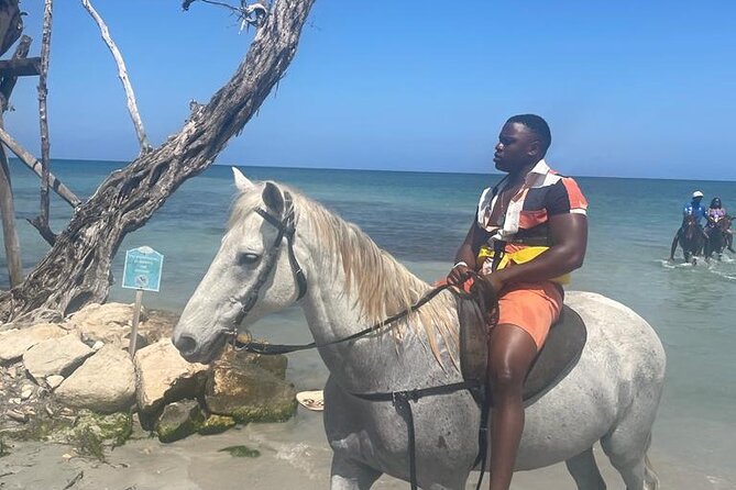 Private Dunns River Falls and Horse Back Riding - Key things to know before you go