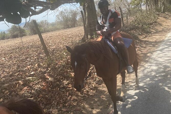 Private Dunns River Falls and Horse Back Riding - A Half-Day Combo: Dunn’s River Falls and Sea-Walk Horseback
