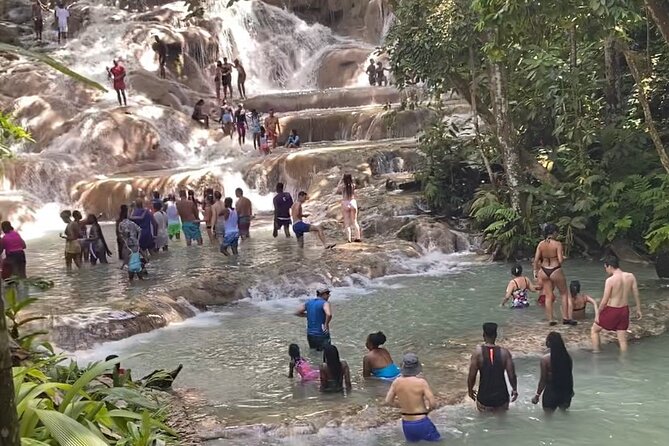 Private Dunns River Falls and Horse Back Riding - Stop 2 in Saint Ann Parish: Choosing Your Horse and Riding Through Sea Areas