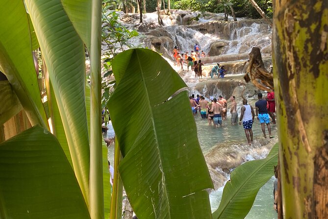Private Dunns River Falls and Horse Back Riding - The VIP Feeling: Drinks, Photo Stops, and a Smooth Driver