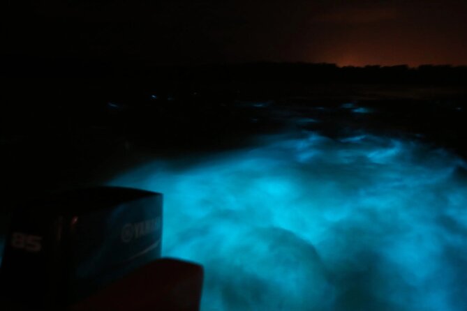 Private Guided Night Tour of Luminous Lagoon in Montego Bay - A Night Schedule Built for Glow, Pickup, and Falmouth Sights