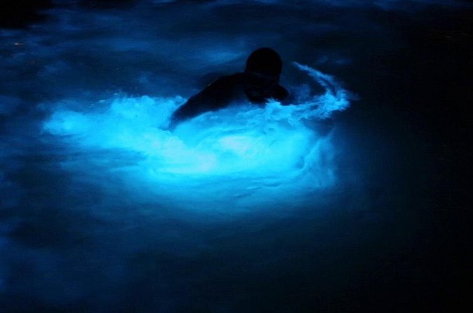 Private Guided Night Tour of Luminous Lagoon in Montego Bay - The Beach Party Finale: Limbo and Fire Show Energy After Dark
