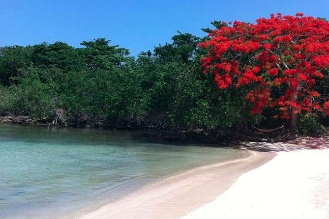Private Half Moon Beach Tour from Montego Bay - Choosing beach time vs a boat ride to Calico Jack’s Private Island