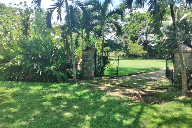 Private Hampden Estate Rum Tour from Montego Bay or Falmouth - Comfort and transport details that make a private tour feel worth it