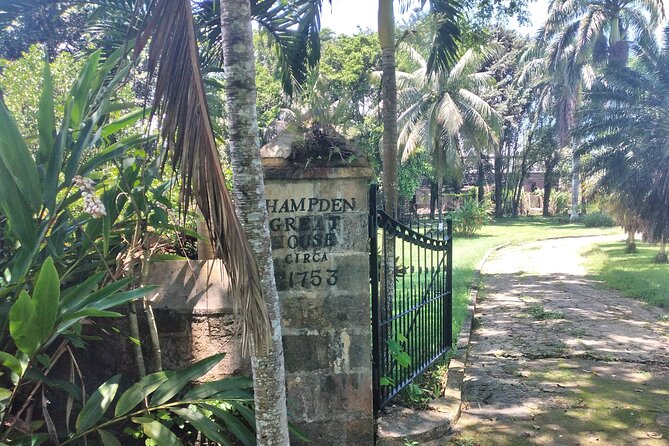 Private Hampden Estate Rum Tour from Montego Bay or Falmouth - Price and value: is $149.99 per person a fair deal?
