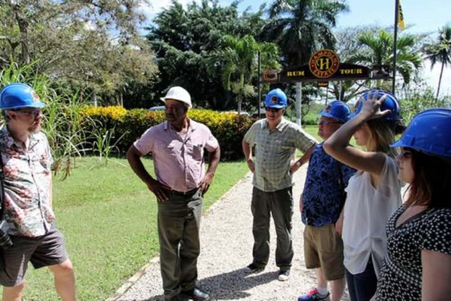 Private Hampden Estate Rum Trip from Montego Bay - Key Things You’ll Appreciate on This Hampden Rum Trip
