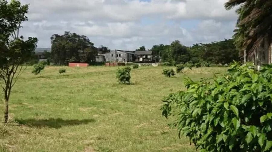 Private Hampden Estate Rum Trip from Montego Bay - The Big Picture: What This Tour Really Gives You