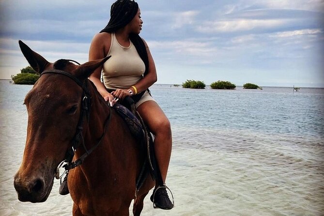 Private Horse Back Riding with ATV Combo. - Why this Montego Bay horse-and-ATV combo makes sense