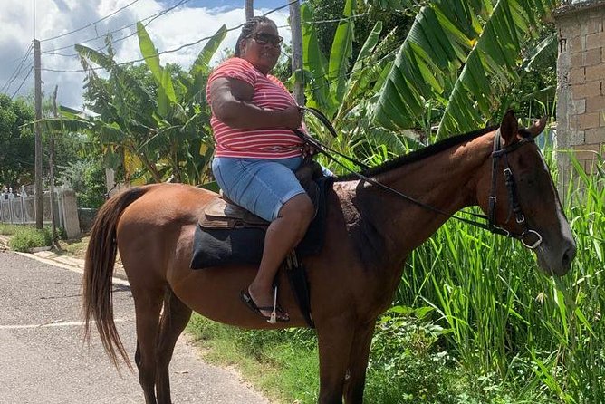Private Horseback Riding from Ocho Rios with Guide - The Rural Trail: Small Villages and Jamaica Stories