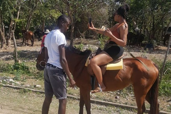 Private Horseback Riding from Ocho Rios with Guide - Horse Care, Safety, and the Most Important Questions to Ask