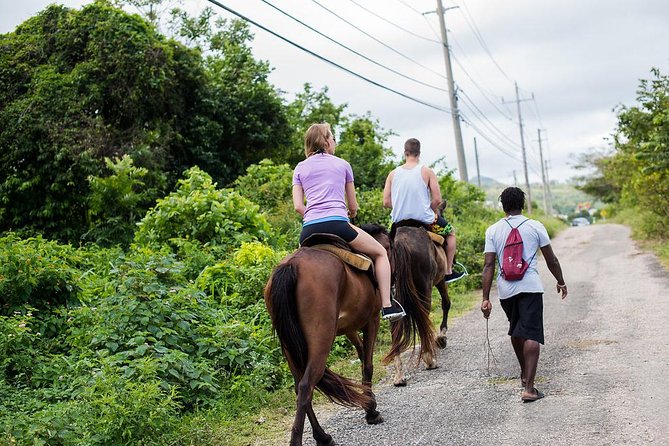 Private Horseback Riding from Ocho Rios with Guide - Choosing Your Horse and Getting Set Up