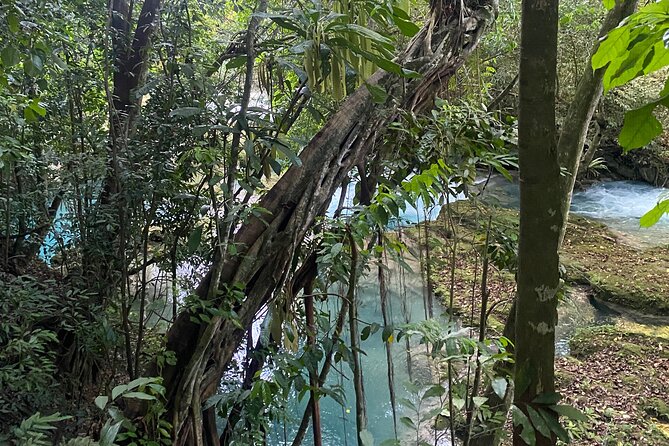 Private Horseback Riding with Blue Hole River Tour in Montego Bay - How the 4-hour schedule usually flows from Montego Bay