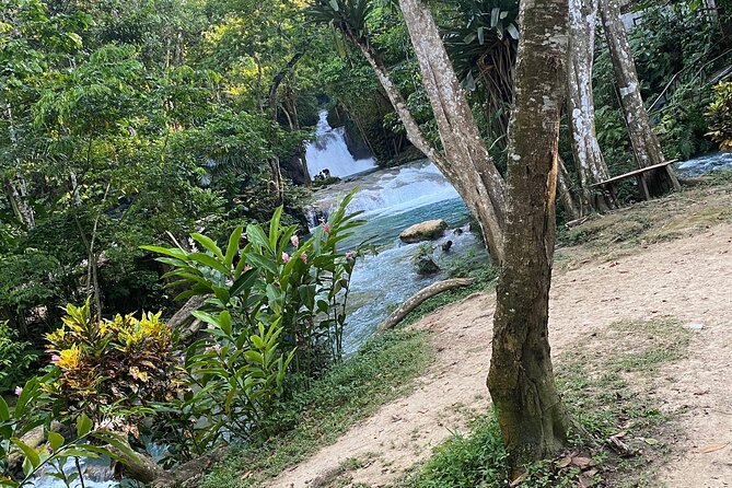 Private Horseback Riding with Blue Hole River Tour in Montego Bay - Private transportation and pickup that keeps the day simple