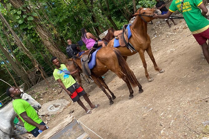 Private Horseback Riding with Blue Hole River Tour in Montego Bay - Price and value: why $80 can be a smart half-day plan