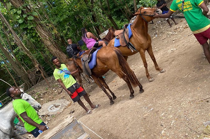 Private Horseback Riding with Blue Hole River Tour in Montego Bay - Pace, comfort, and who this tour fits best