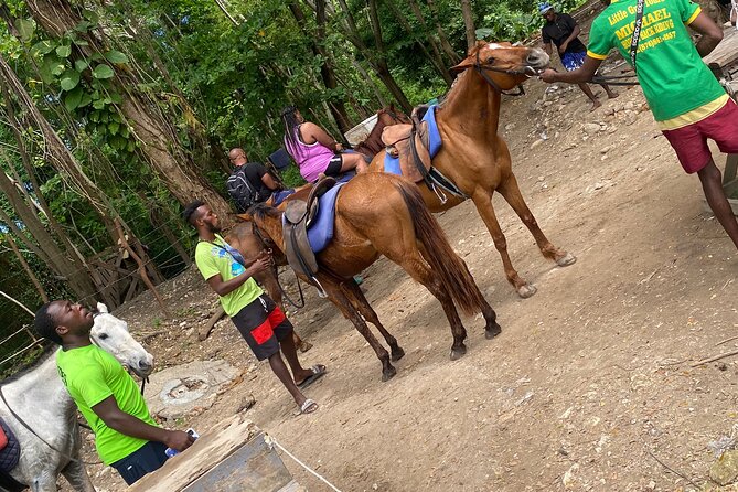 Private Horseback Riding with Blue Hole River Tour in Montego Bay - Discover Bay horseback riding: horses, beach time, and bird moments