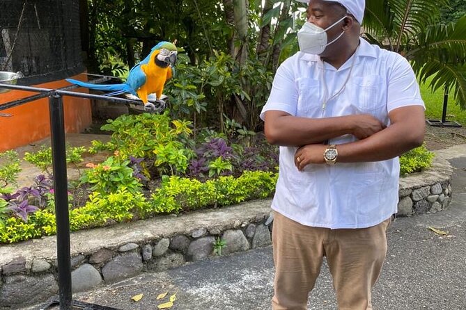 Private Konoko Falls and Blue Hole Combo Tour from Ocho Rios - Meeting at Marvyns Paradise, Then a Quick Stop With Big Local Context