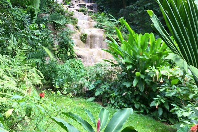 Private Konoko Falls and Blue Hole Combo Tour from Ocho Rios - Konoko Falls Park: Taino-Linked Garden Stories and Animal Interaction