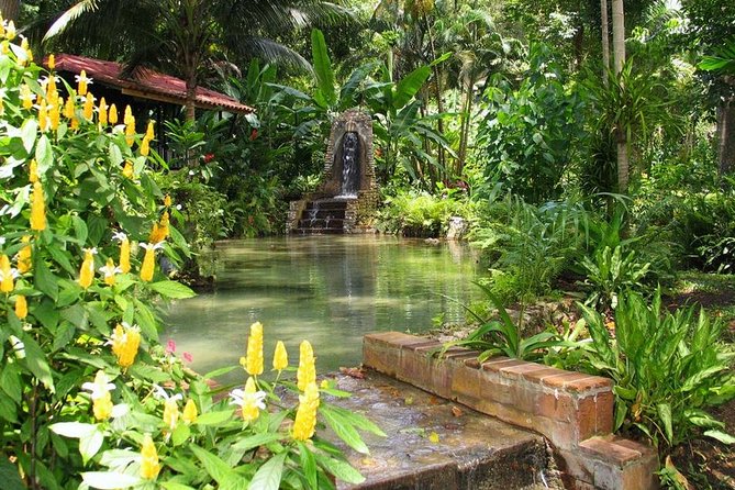 Private Konoko Falls and Blue Hole Combo Tour from Ocho Rios - Who This Combo Tour Is Best For, and Who Should Rethink It