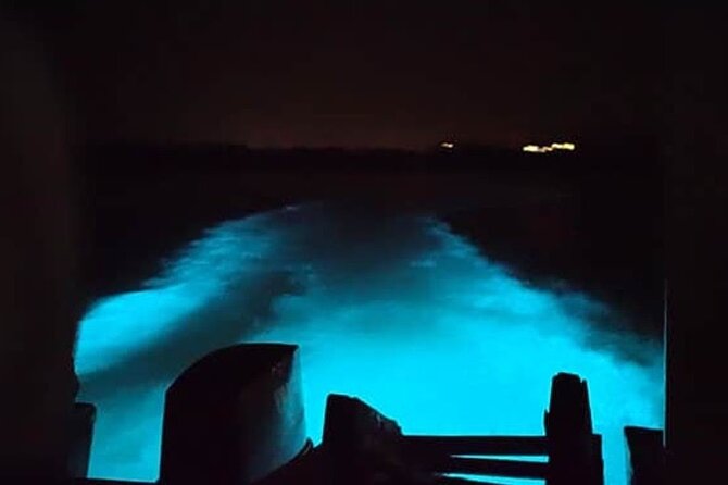 Private Luminous Blue Lagoon Night Tour in Falmouth - From Grand Palladium or Trelawny Hotels to the Luminous Lagoon